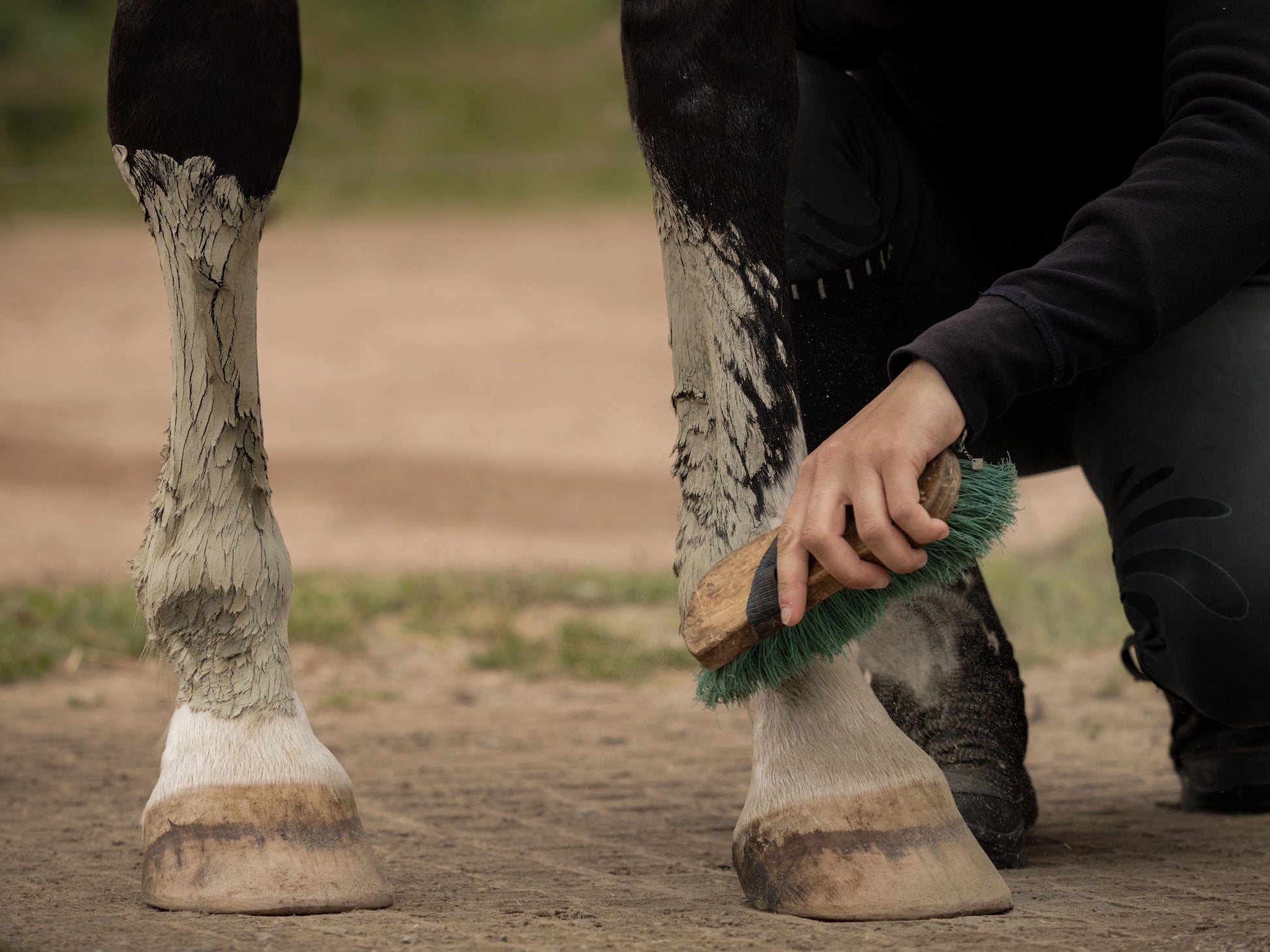 texture légère et crémeuse de l'argile verte, riche en minéraux pour une application facile sur les muscles et articulations du cheval.